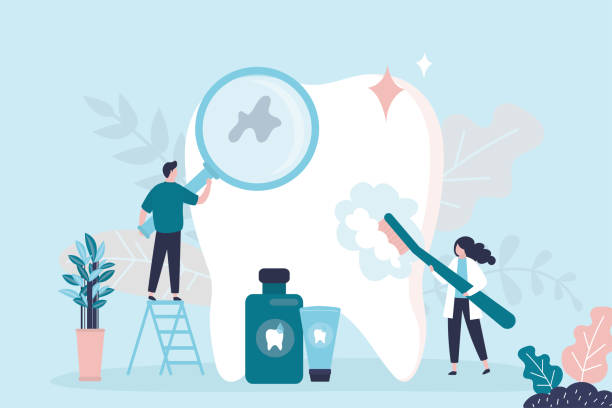 Best Dental Fillings (Composite and Amalgam)  in Paloma Creek South, TX